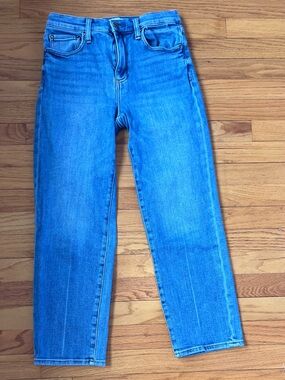 pistola Classic Straight Jeans in Vibrant Blue